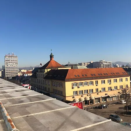 Apartament Business